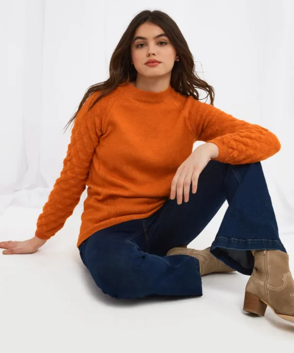 Knitwear & Cardigans<Joe Browns Fancy Sleeve Jumper