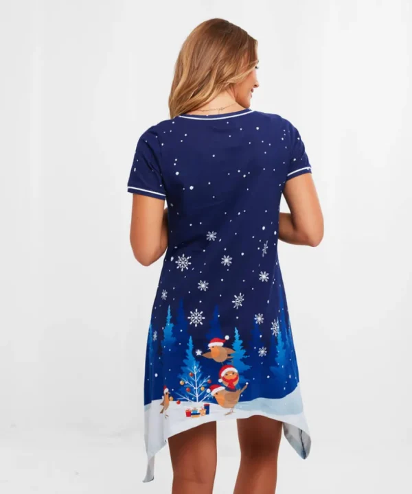 Women'S Novelty<Joe Browns Rocking Robin Nightie