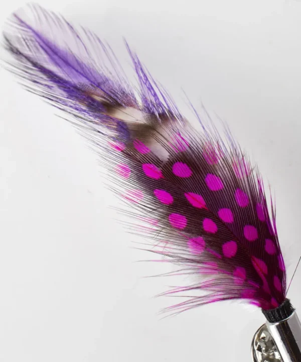 Accessories & Jewellery<Joe Browns Vibrant Feather Pin